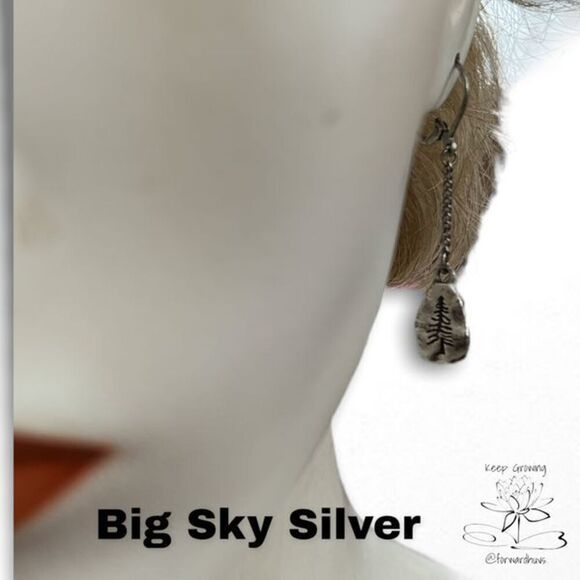 ☑️ Big Sky Silver Earrings - New in Box - Drop Style - 2 Inches - Picture 5 of 9